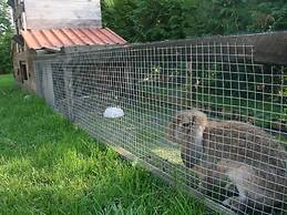 Cozy Apartment in Kägsdorf near Sea