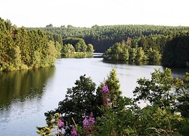 Luxury Apartment With Sauna Over a Lake