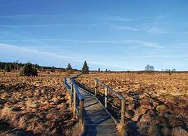 Luxury Apartment With Sauna Over a Lake