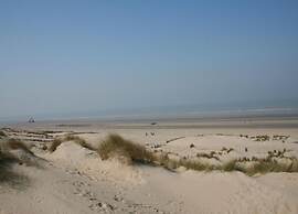 Oostduinkerke Forestside Villa