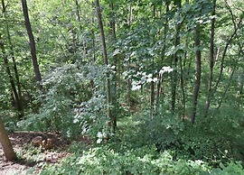 Holiday Home in Rendeux-beffe With Sauna