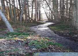 Holiday Home in Rendeux-beffe With Sauna