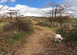 Holiday Home in Rendeux-beffe With Sauna