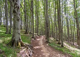 Holiday Home in Rendeux-beffe With Sauna