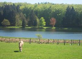Holiday Home in Stavelot With Sauna