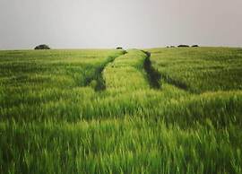 Holiday Home in Stavelot With Sauna