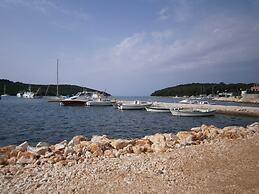 Modern Apartment in Banjole With Pool