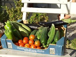 Charming Holiday Home in Kritinia With Garden