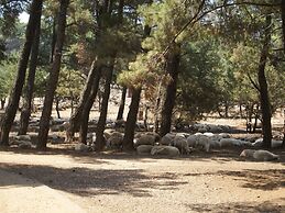 Charming Holiday Home in Kritinia With Garden