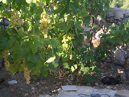 Charming Holiday Home in Kritinia With Garden