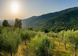 Chalet With Pool in Cortona