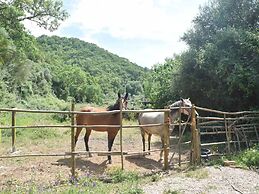 Cottage in Sdo Lums With Barbecue