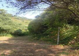 Cottage in Sdo Lums With Barbecue