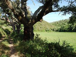 Cottage in Sdo Lums With Barbecue