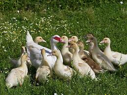 Belvilla by Oyo Montecchio