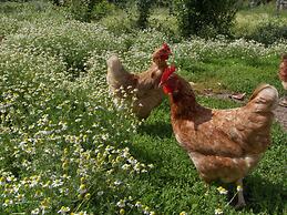 Belvilla by Oyo Montecchio