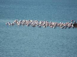 Belvilla by OYO Zante 2-7-12 Due