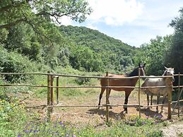 Quiet & Cottage in Estate Casas da Cerca near Troviscais