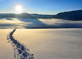 Luxurious Chalet in Riddes with Hot Tub