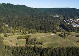 Holiday Home in the Black Forest With Sauna