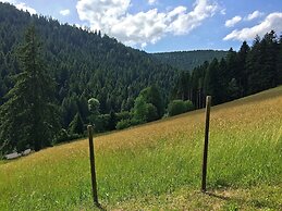 Holiday Home in the Black Forest With Sauna