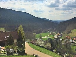 Holiday Home in the Black Forest With Sauna