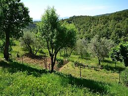 Holiday Home in Florence With Swimming Pool