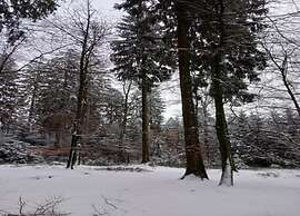 Charming Chalet in Vielsalm
