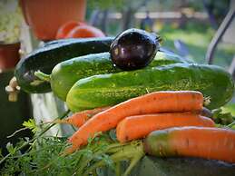 Countryside Getaway near River & Sea