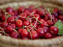 Countryside Getaway near River & Sea