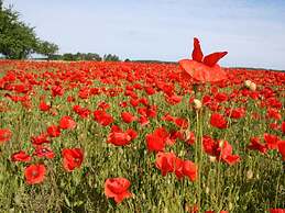 Bungalow in Boiensdorf for 4 Person