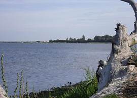 Bungalow in Boiensdorf for 4 Person