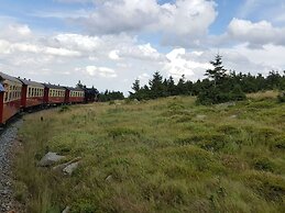 Holiday Home in Wieda With Sauna