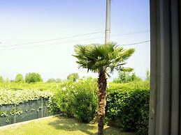 Near the Harbour and Sandbeach of Pacengo di Lazise