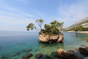 Apartment in Dalmatia Near the Sea