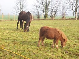 Wohnung in Blowatz an der Ostseekueste