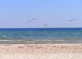 Spacious Bungalow near Sea in Grundshagen