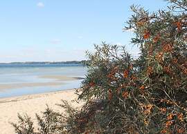Spacious Bungalow near Sea in Grundshagen
