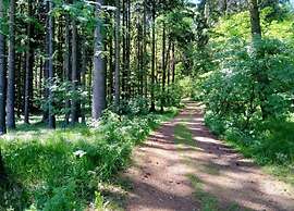 Forest Escape With Garden