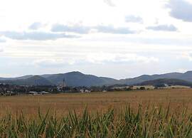 Apartment in Deifeld With Garden
