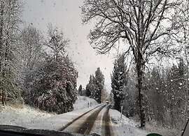 Apartment in Deifeld With Garden