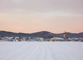 Apartment in Deifeld With Garden
