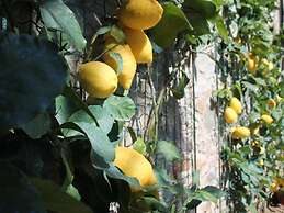 Modern Villa With Private Pool and Fenced Garden Near Lucca