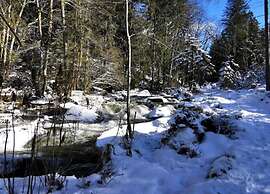 Flat With Private Terrace in the Bavarian Forest