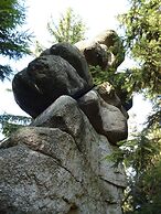 Flat With Private Terrace in the Bavarian Forest