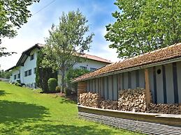 Flat With Private Terrace in the Bavarian Forest