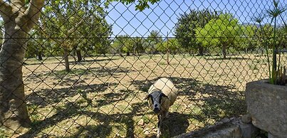 Belvilla by OYO Tabou