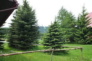 Nice Holiday Home With Fireplace in the Ore Mountains Near the Chairli