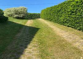 Holiday Apartment in Steffenshagen With Garden
