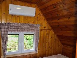 Chalet Kyjov in Giant Mountains Near Forest